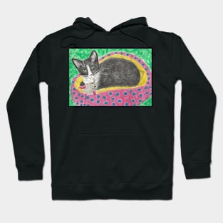 Little Luna kitten ca art Hoodie